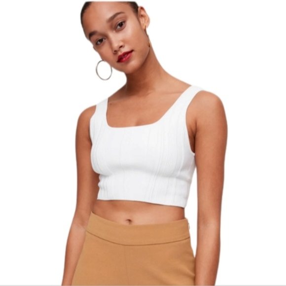 Aritzia Tops Aritzia Babaton Sculpt Knit Tank Cropped Ribbed Tank